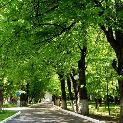 фото 2 Парк-Отель Шереметьевский