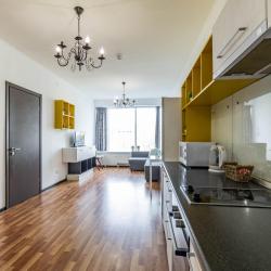2-комнатные апартаменты улучшенные BeGuest Белинского 108