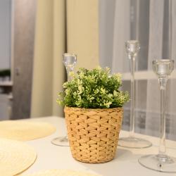 Фото Апартаменты Renta36 (Рента) на улице Плехановская 40