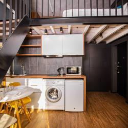 Двухуровневые апартаменты Лофт