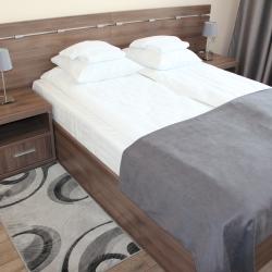 Фото Отель Ока