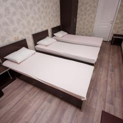 3-местный номер стандарт с 1 односпальной и 1 двуспальной кроватью