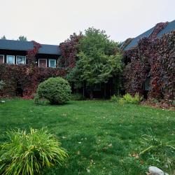 Фото Экотель Снегирек