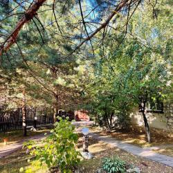 Фото Отель Плетёнка