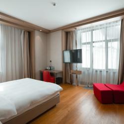 Фото Отель Ibis Styles Красная Поляна (Ибис Стайлс)