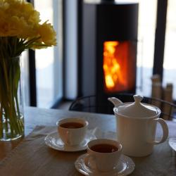 Фото Альпака апарт-отель