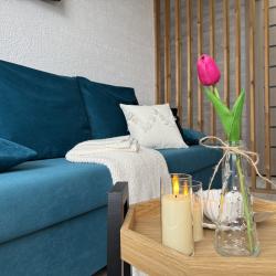 2-комнатные апартаменты стандарт Уютный Loft вблизи ЖД, Аквапарка, Цирка, Зоопарка