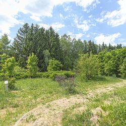 Фото поле-отель