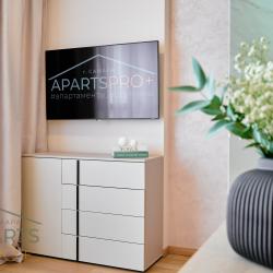 3-местные апартаменты студия