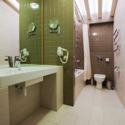 Фото Отель Алтайский замок