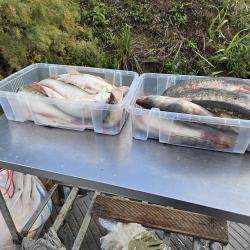 Фото Отель Каспийский Лотос