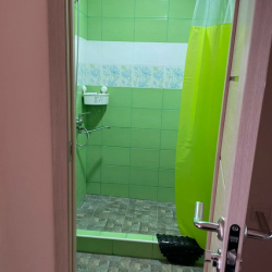 Фото Отель Сосновый Бор