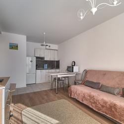 1-комнатные апартаменты стандарт №1