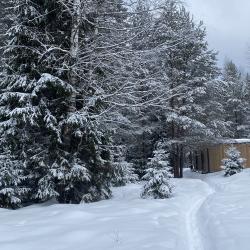 4-местный коттедж улучшенный 