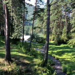 Фото Отель Горный Алтай