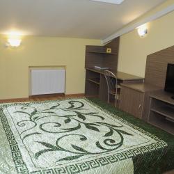 Номер люкс с 1 двуспальной кроватью (мансарда)