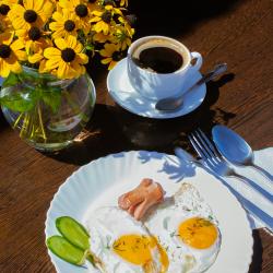 Фото Отель SanZazila (СанЗазила)