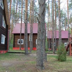 Фото Отель Ягодная деревушка