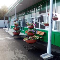 Фото Отель Книиэкот