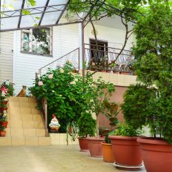 Фото Отель Звёздочка