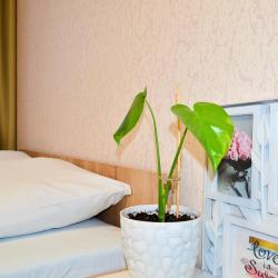 Фото Отель ЭмиЛи на улице Конструкторов 29А к1