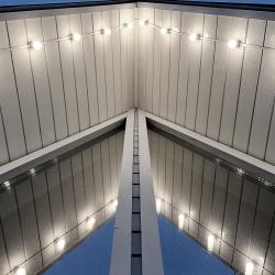 Дом у сосны