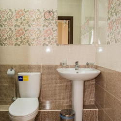 Номер делюкс с 1 двуспальной кроватью