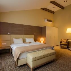 Номер стандарт с 1 двуспальной кроватью