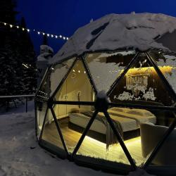 Купольный дом WOOD