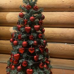 Фото Отель Шишки