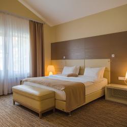 Номер стандарт с 1 двуспальной кроватью