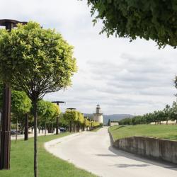 Фото Отель Маскага