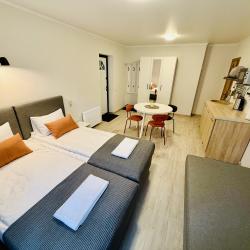 1-комнатные апартаменты студия