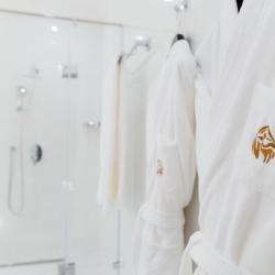 1-комнатный номер люкс премиум