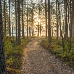 Фото Отель Вилла Ранду
