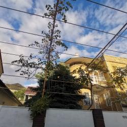 фото 2 Эллис