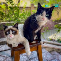 Фото Отель Cats&Beds Hostel (Кэтс&Бэдс)