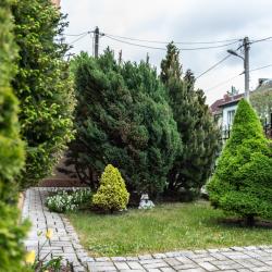 фото 8 Клавдия
