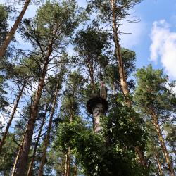 Фото Отель ДухЛес