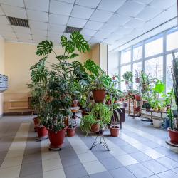 2-комнатные апартаменты улучшенные Ясногорская 21к2