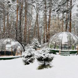 фото 32 Хвоя (бывш.Былина)