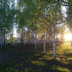 Фото Отель Горы-море House (Хаус)