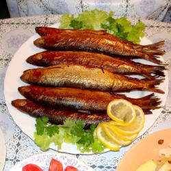 Фото Отель Баяр