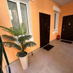 Фото Апартаменты Пальма