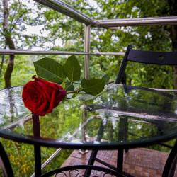 Фото Отель Town Park (Таун парк)