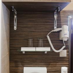 Фото Отель Родина