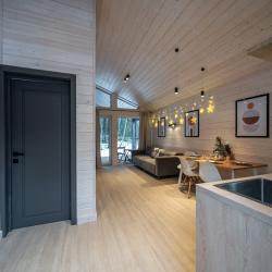 Дом с видом на лес гостиная со спальней (40 кв.м)