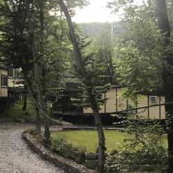 Фото Отель База отдыха Ручеёк