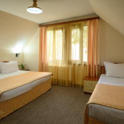 Фото Отель Alpina Resort by Stellar Hotels, Tsaghkadzor (Альпина Резорт от Стеллар Хотелс, )