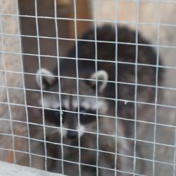 Фото Отель Беной Тревел Озеро